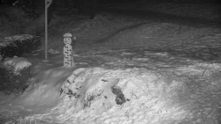 Běžecký lyžařský areál Nová Ves - horní část