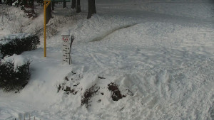Chata Myslivna SKP Olomouc - Běžecký lyžařský areál Nová Ves - horní část - 7.1.2026 v 07:30 Chata Myslivna SKP Olomouc - Běžecký lyžařský areál Nová Ves - horní část - 7.1.2026 v 07:30