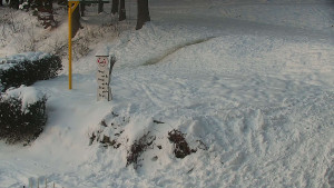 Chata Myslivna SKP Olomouc - Běžecký lyžařský areál Nová Ves - horní část - 7.1.2026 v 08:00 Chata Myslivna SKP Olomouc - Běžecký lyžařský areál Nová Ves - horní část - 7.1.2026 v 08:00