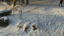 Běžecký lyžařský areál Nová Ves - horní část