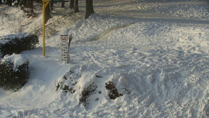Chata Myslivna SKP Olomouc - Běžecký lyžařský areál Nová Ves - horní část - 7.1.2026 v 09:00 Chata Myslivna SKP Olomouc - Běžecký lyžařský areál Nová Ves - horní část - 7.1.2026 v 09:00