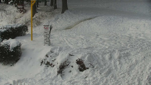 Chata Myslivna SKP Olomouc - Běžecký lyžařský areál Nová Ves - horní část - 7.1.2026 v 09:30 Chata Myslivna SKP Olomouc - Běžecký lyžařský areál Nová Ves - horní část - 7.1.2026 v 09:30