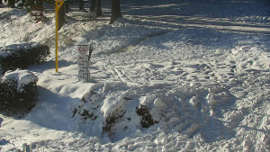 Chata Myslivna SKP Olomouc - Běžecký lyžařský areál Nová Ves - horní část - 7.1.2026 v 10:30 Chata Myslivna SKP Olomouc - Běžecký lyžařský areál Nová Ves - horní část - 7.1.2026 v 10:30