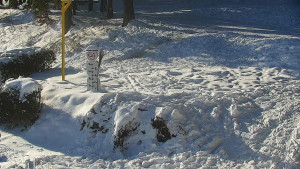 Chata Myslivna SKP Olomouc - Běžecký lyžařský areál Nová Ves - horní část - 7.1.2026 v 11:00 Chata Myslivna SKP Olomouc - Běžecký lyžařský areál Nová Ves - horní část - 7.1.2026 v 11:00