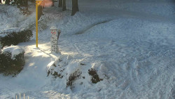 Běžecký lyžařský areál Nová Ves - horní část