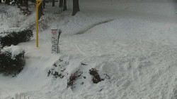 Běžecký lyžařský areál Nová Ves - horní část