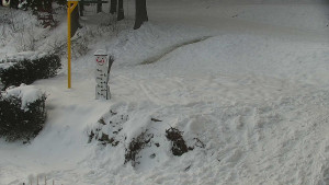 Chata Myslivna SKP Olomouc - Běžecký lyžařský areál Nová Ves - horní část - 7.1.2026 v 14:00 Chata Myslivna SKP Olomouc - Běžecký lyžařský areál Nová Ves - horní část - 7.1.2026 v 14:00
