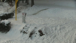 Běžecký lyžařský areál Nová Ves - horní část