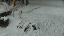 Běžecký lyžařský areál Nová Ves - horní část