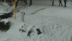 Chata Myslivna SKP Olomouc - Běžecký lyžařský areál Nová Ves - horní část - 7.1.2026 v 15:30 Chata Myslivna SKP Olomouc - Běžecký lyžařský areál Nová Ves - horní část - 7.1.2026 v 15:30