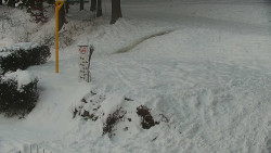 Běžecký lyžařský areál Nová Ves - horní část