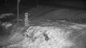 Chata Myslivna SKP Olomouc - Běžecký lyžařský areál Nová Ves - horní část - 7.1.2026 v 17:00 Chata Myslivna SKP Olomouc - Běžecký lyžařský areál Nová Ves - horní část - 7.1.2026 v 17:00