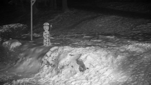 Chata Myslivna SKP Olomouc - Běžecký lyžařský areál Nová Ves - horní část - 7.1.2026 v 21:00 Chata Myslivna SKP Olomouc - Běžecký lyžařský areál Nová Ves - horní část - 7.1.2026 v 21:00