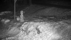 Chata Myslivna SKP Olomouc - Běžecký lyžařský areál Nová Ves - horní část - 7.1.2026 v 22:30 Chata Myslivna SKP Olomouc - Běžecký lyžařský areál Nová Ves - horní část - 7.1.2026 v 22:30