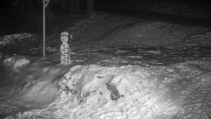 Chata Myslivna SKP Olomouc - Běžecký lyžařský areál Nová Ves - horní část - 7.1.2026 v 23:00 Chata Myslivna SKP Olomouc - Běžecký lyžařský areál Nová Ves - horní část - 7.1.2026 v 23:00