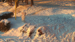 Běžecký lyžařský areál Nová Ves - horní část