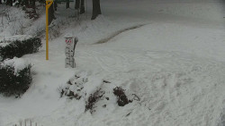 Běžecký lyžařský areál Nová Ves - horní část