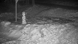 Běžecký lyžařský areál Nová Ves - horní část