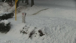 Běžecký lyžařský areál Nová Ves - horní část