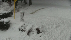 Běžecký lyžařský areál Nová Ves - horní část