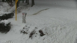 Běžecký lyžařský areál Nová Ves - horní část