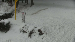 Běžecký lyžařský areál Nová Ves - horní část