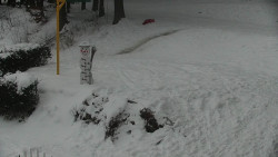 Běžecký lyžařský areál Nová Ves - horní část