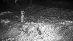 Běžecký lyžařský areál Nová Ves - horní část