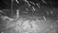 Běžecký lyžařský areál Nová Ves - horní část