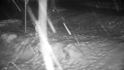 Běžecký lyžařský areál Nová Ves - horní část