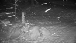 Běžecký lyžařský areál Nová Ves - horní část