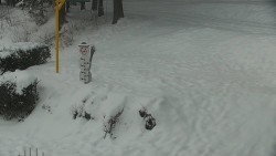 Běžecký lyžařský areál Nová Ves - horní část