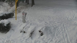 Běžecký lyžařský areál Nová Ves - horní část