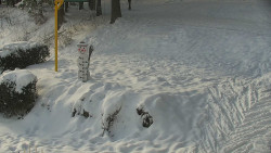 Běžecký lyžařský areál Nová Ves - horní část