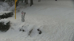 Běžecký lyžařský areál Nová Ves - horní část