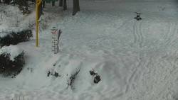 Běžecký lyžařský areál Nová Ves - horní část