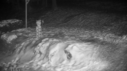 Běžecký lyžařský areál Nová Ves - horní část