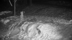 Běžecký lyžařský areál Nová Ves - horní část