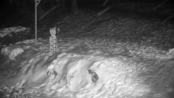 Běžecký lyžařský areál Nová Ves - horní část