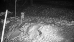 Běžecký lyžařský areál Nová Ves - horní část