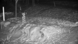 Běžecký lyžařský areál Nová Ves - horní část