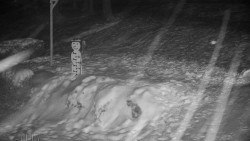 Běžecký lyžařský areál Nová Ves - horní část