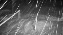 Běžecký lyžařský areál Nová Ves - horní část