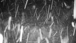 Běžecký lyžařský areál Nová Ves - horní část