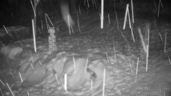 Běžecký lyžařský areál Nová Ves - horní část