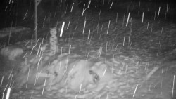 Běžecký lyžařský areál Nová Ves - horní část