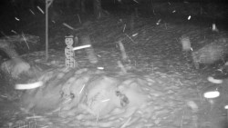 Běžecký lyžařský areál Nová Ves - horní část