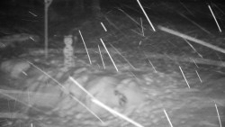 Běžecký lyžařský areál Nová Ves - horní část