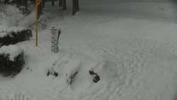 Běžecký lyžařský areál Nová Ves - horní část