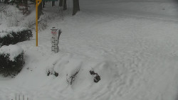 Běžecký lyžařský areál Nová Ves - horní část